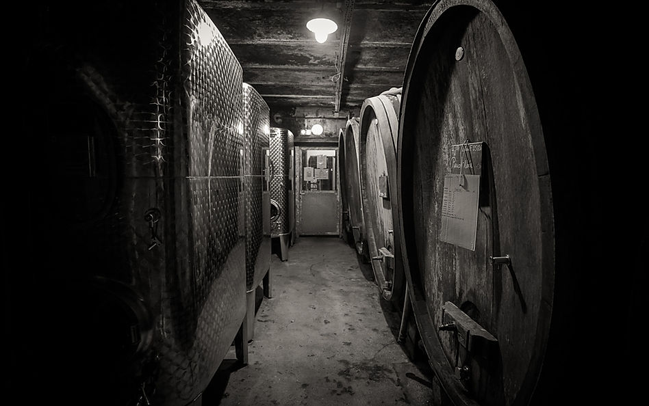 domaine trimbach