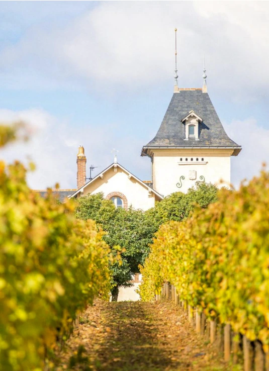 Château Soucherie domaine soucherie