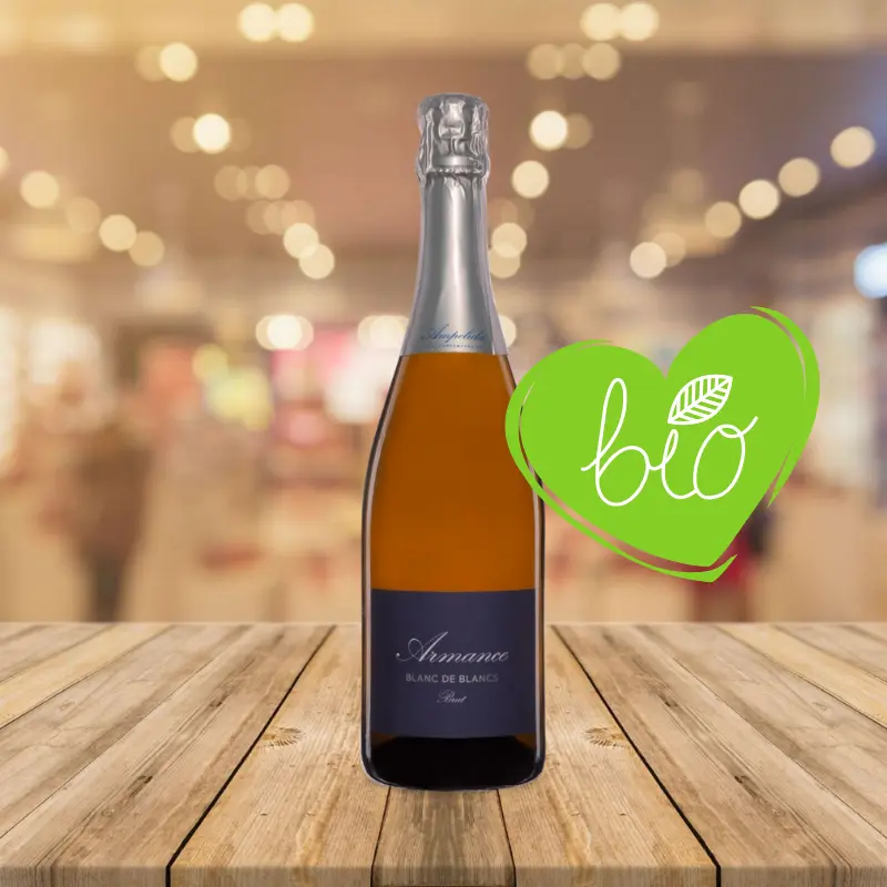 Ampelidae - Armance B. - Vin Effervescent