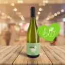 Château Saincrit - L'Ephémère - Bordeaux Blanc