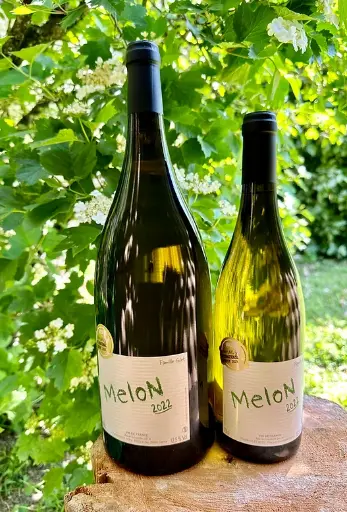 [1337M] [Magnum] Famille Gilet - Melon de Bourgogne 2024 - Vin de France